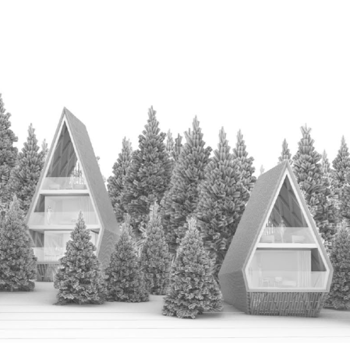 Rendering of A-frame cabins among pine trees, illustrating USP and guest experience design